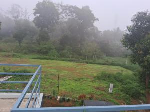 Coorg Teakwood Treasure Homestay