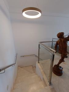 Carabeo 36 Duplex