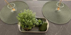 Obelų namai, self check-in, free parking