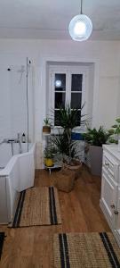 Maisons d'hotes La Bougainvilliere : photos des chambres