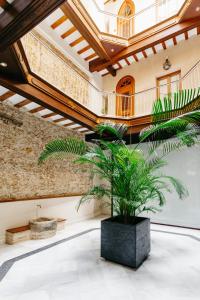 innCádizPalacio Apolo