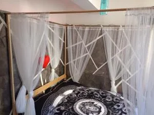 La casa di Zoe - Vaccina