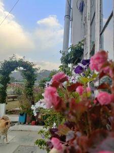 Mohraj home stay