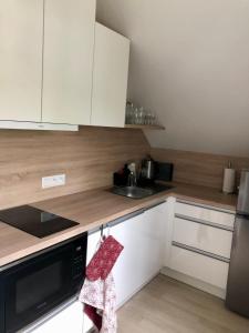 Apartmán Krušné hory - Erzgebirge