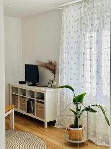 Apartament Zatorze
