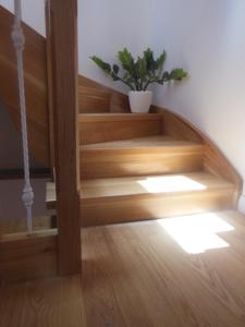 Verani suites Lefkas Town