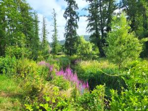 Le Paradis - Charmants appartements proche nature