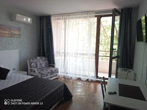 Студио Илана