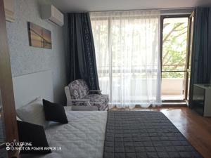 Студио Илана