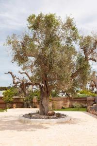 Folià - Natural Experience