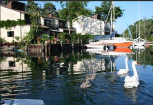 Le bonheur les pieds dans leau