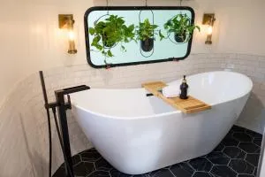 Creekside Fern - Little River