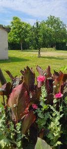 Maisons de vacances Gite Les 