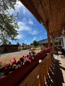 Casuta Vanatorului Campulung Moldovenesc