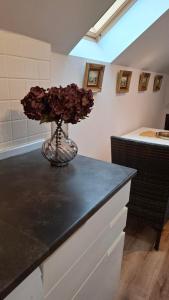 Apartma Harmonia with parking