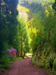 Azor International Apartment II - Belém