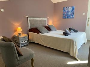 Maisons de vacances Logement calme et chaleureux dans villa : photos des chambres