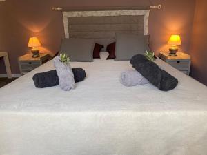 Maisons de vacances Logement calme et chaleureux dans villa : photos des chambres