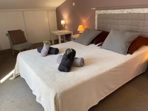 Logement calme et chaleureux dans villa