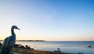 -SKOL- Charmant T2, proche du centre de Concarneau
