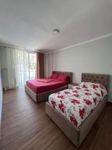 Liza's apartments 4th - Skataj