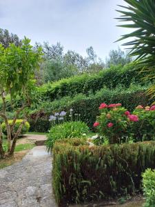 Appartment with swiming pool