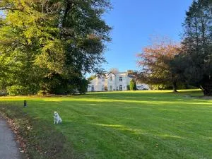 Moorswater Lodge - Saint Keyne