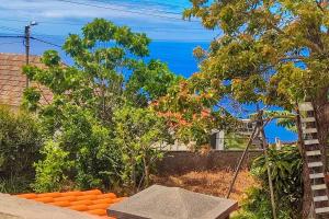 Typical Farm Apartment