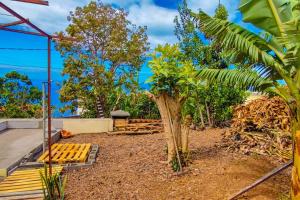 Typical Farm Apartment