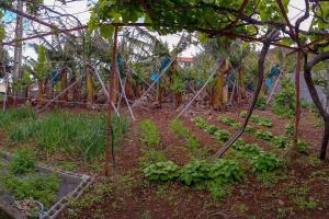 Typical Farm Apartment