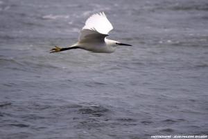 Villages vacances Arc en Ciel Oleron : photos des chambres