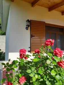 Sara & Mateo Guesthouse