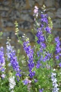 B&B / Chambres d'hotes Chambre Perigourdine : photos des chambres