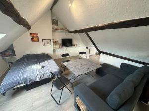 Appartements La Maison Gauloise - Asterix CDG Paris : photos des chambres