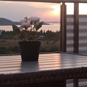 Vila Mihnevi - Atiya