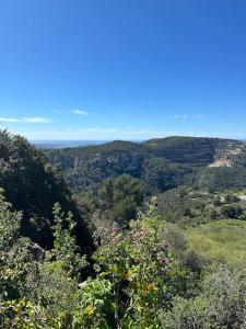 Maisons de vacances Maison provencale typique Evenos : photos des chambres