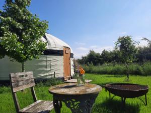Glastonbury Wild Glamping