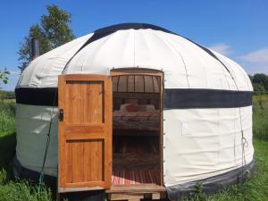 Glastonbury Wild Glamping