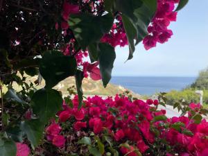 Villa Bianca, piscina e panorama img36