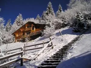 La Rissole - Chalet familial - 沙泰勒