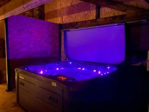 Villas Eco Gite 12 pers La Charmante des Vallons avec SPA : photos des chambres