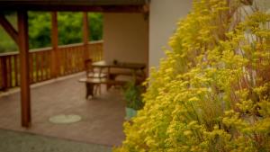 Mosoly Borvendégház