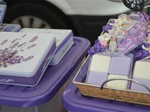 Appartements Studio cabine climatise avec terrasse au centre-ville - 4 couchages - Le Lavandou - FR-1-251-723 : Appartement