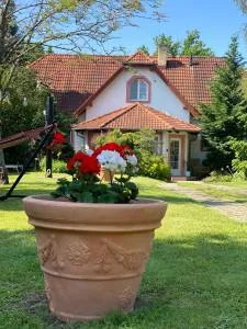 Vila EVIO Třeboň - Chlum u Třeboně