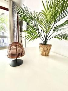 Studio Lumineux avec Terrasse