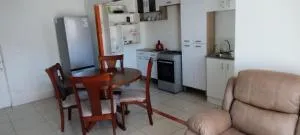 Departamento Equipado - Tierra Amarilla