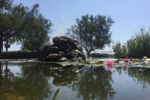 Beautiful apartment in the center of town