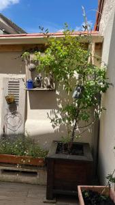Maisons de vacances Le Logis des Ais : photos des chambres
