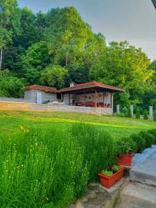 Старият Дюкянь