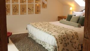 Maisons d'hotes Maison Mouche : photos des chambres